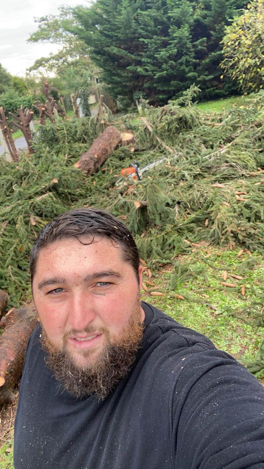 Travaux d’abattage et d’élagage d’arbres dans les Pyrénées-Atlantiques (64) - Photo 12