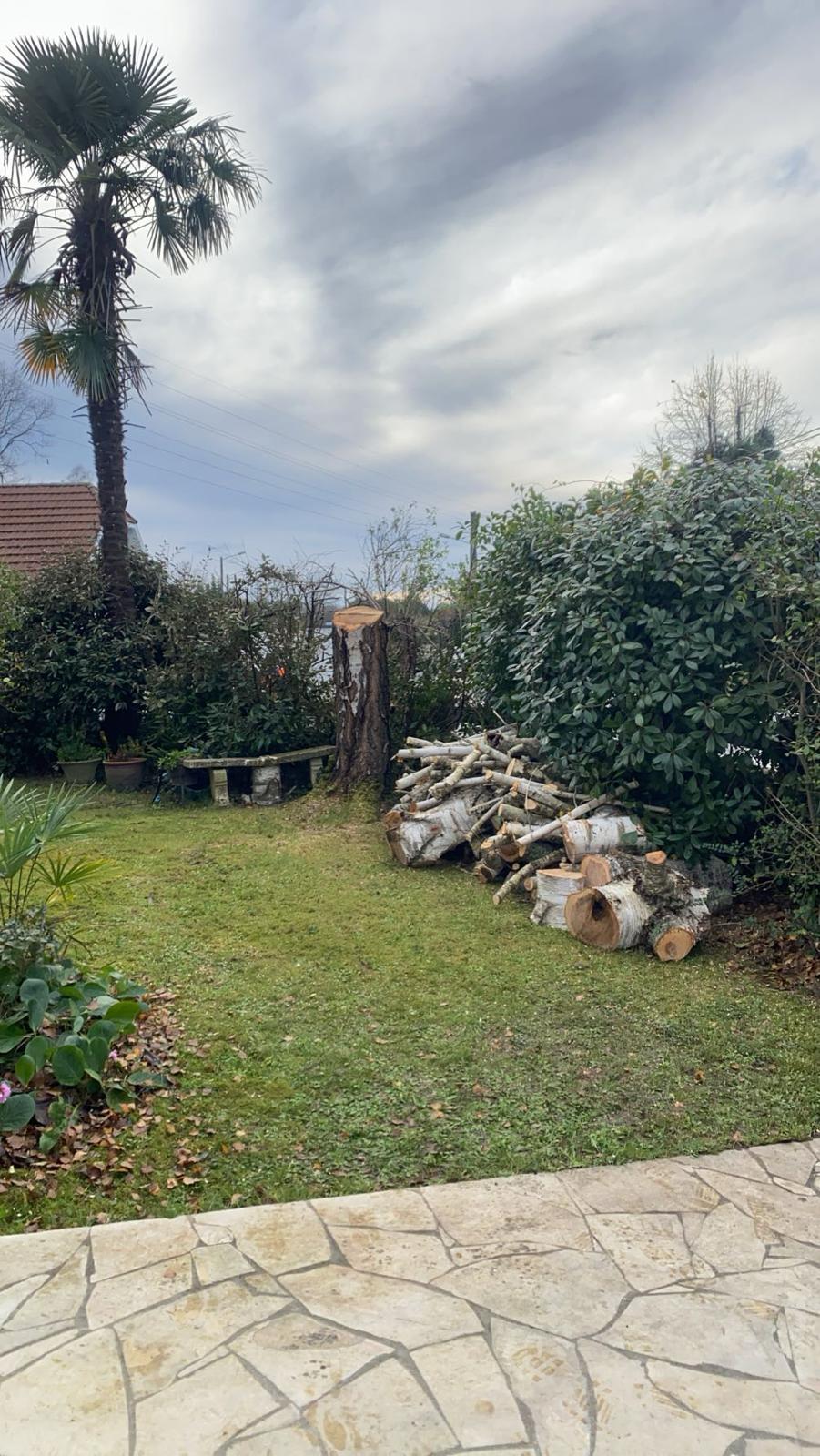 Travaux d’abattage et d’élagage d’arbres dans les Pyrénées-Atlantiques (64) - Photo 5