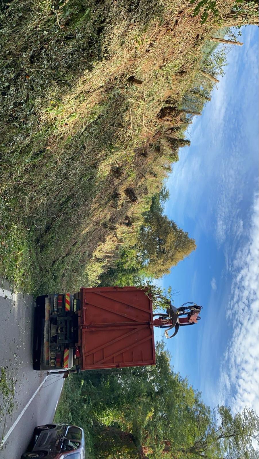 Travaux d’abattage et d’élagage d’arbres dans les Pyrénées-Atlantiques (64) - Photo 17