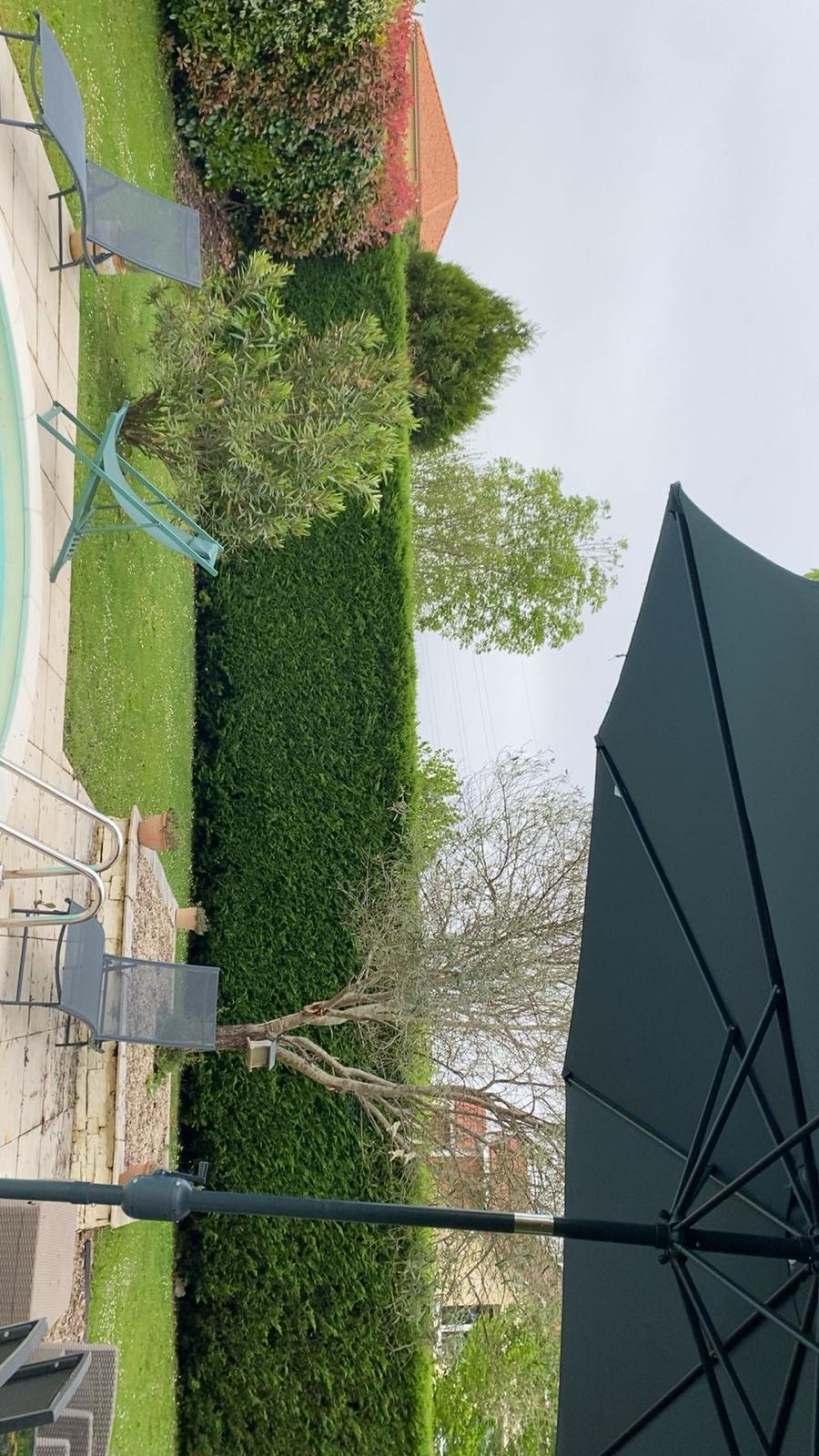 Entretien de jardin et espaces verts dans les Pyrénées-Atlantiques (64) - Photo 5