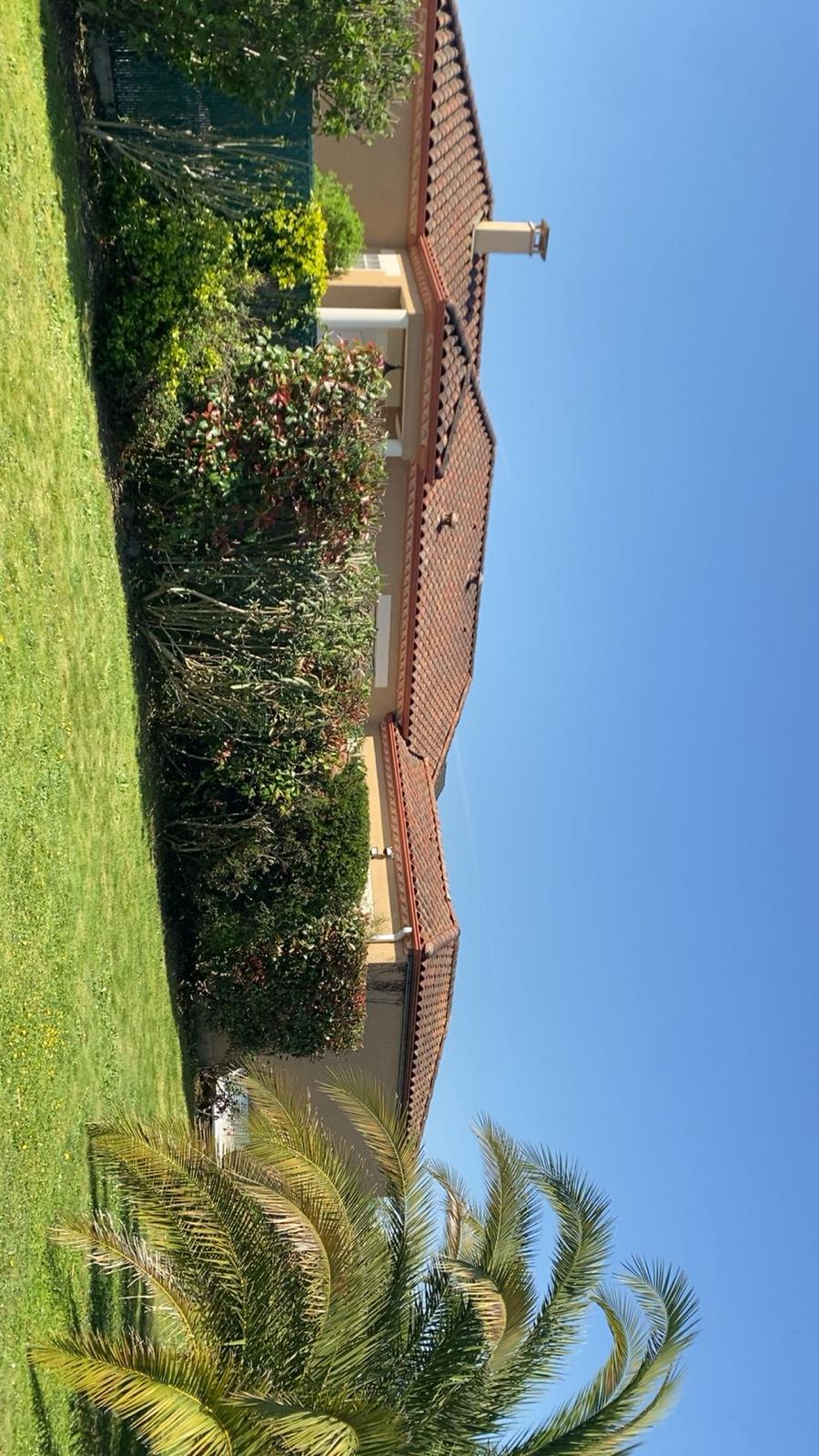 Entretien de jardin et espaces verts dans les Pyrénées-Atlantiques (64) - Photo 6