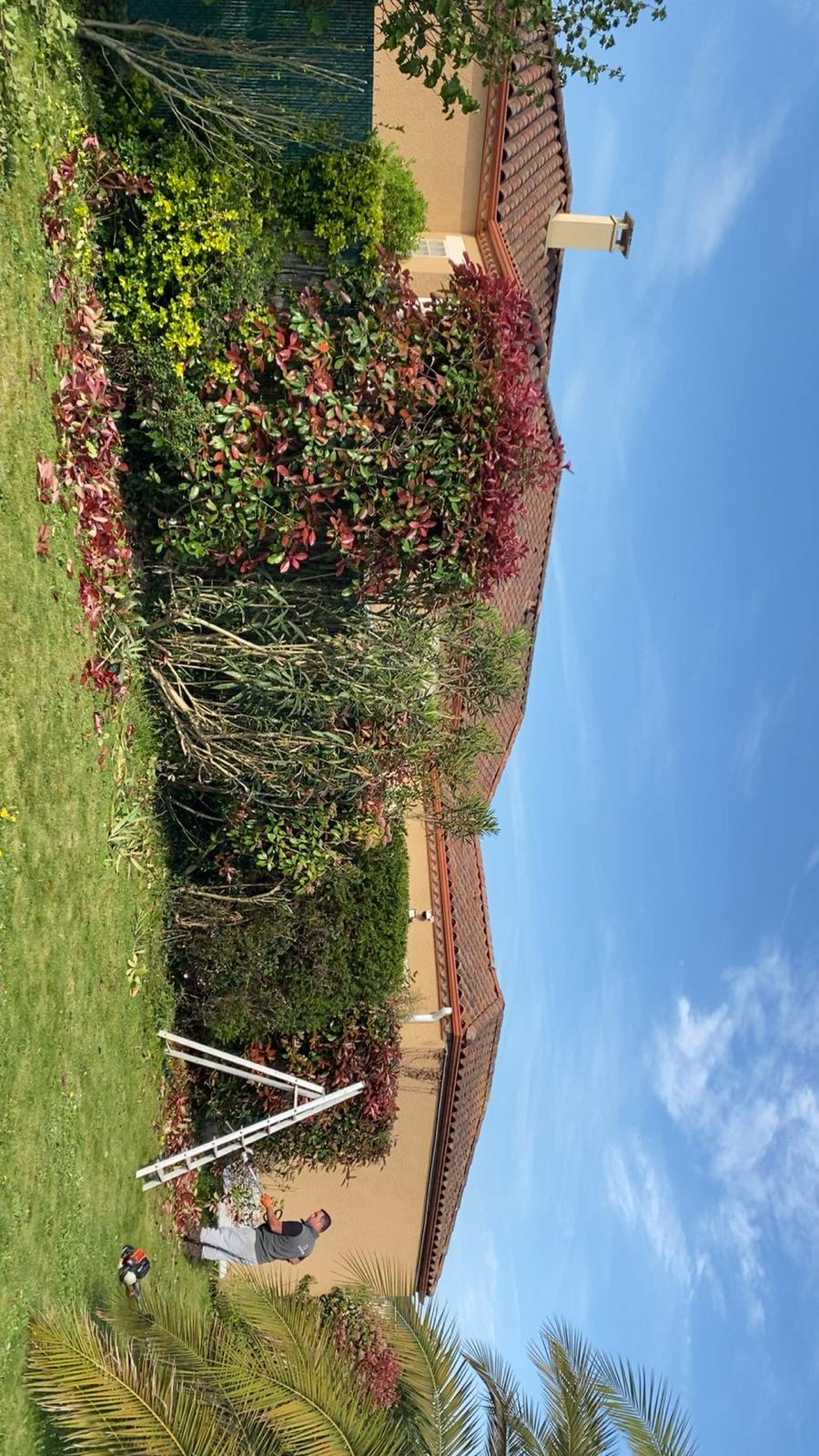 Entretien de jardin et espaces verts dans les Pyrénées-Atlantiques (64) - Photo 7