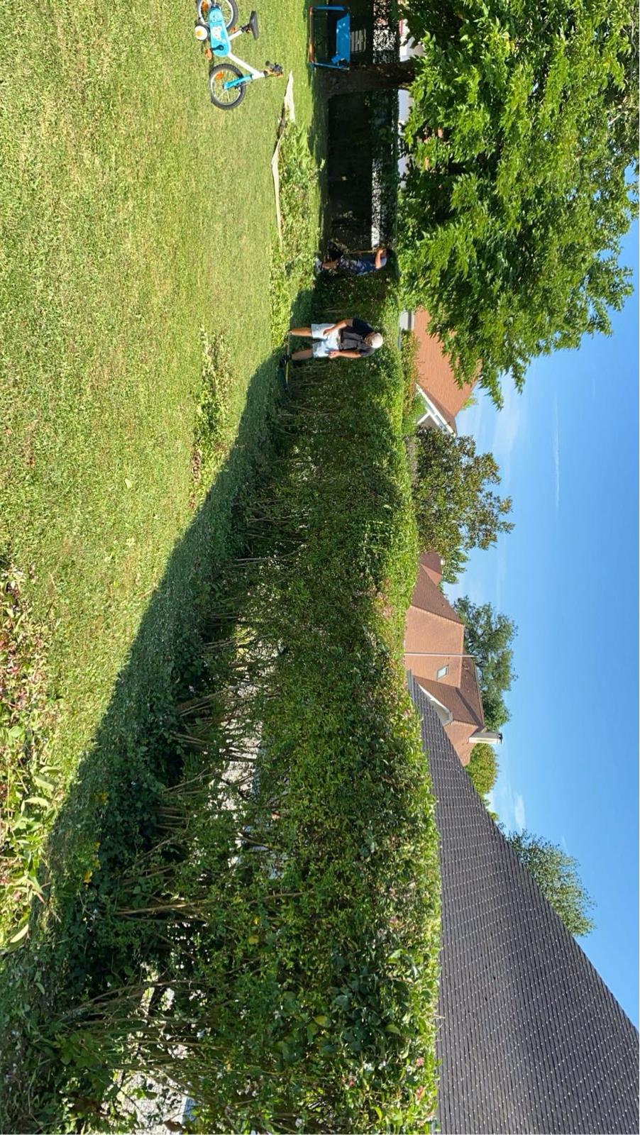 Entretien de jardin et espaces verts dans les Pyrénées-Atlantiques (64) - Photo 12