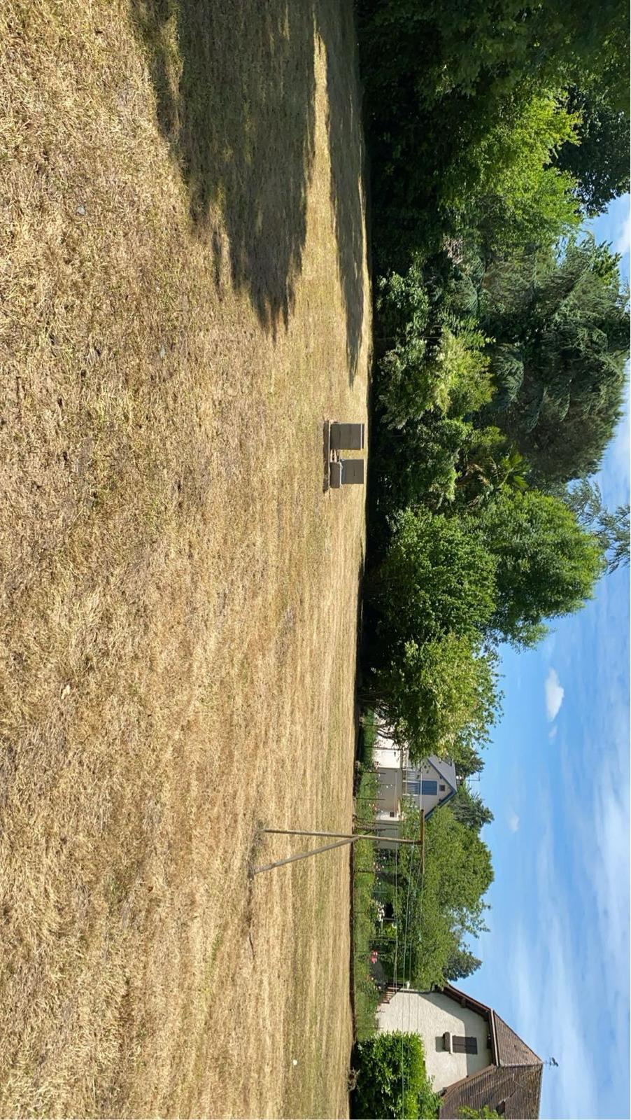 Entretien de jardin et espaces verts dans les Pyrénées-Atlantiques (64) - Photo 13