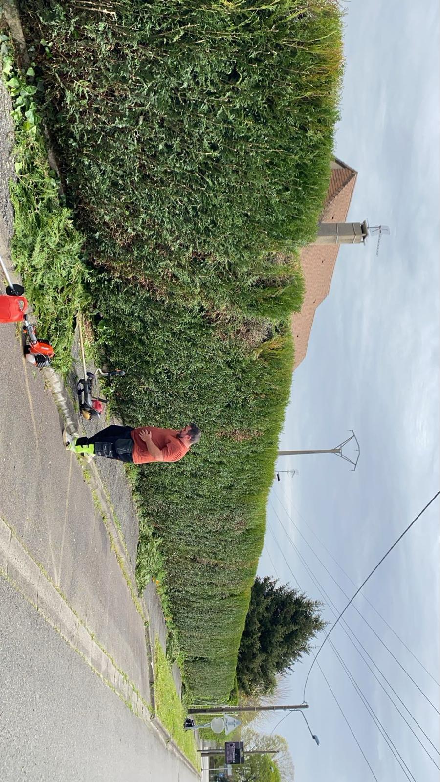 Taille de haies dans les Pyrénées-Atlantiques - Photo 7