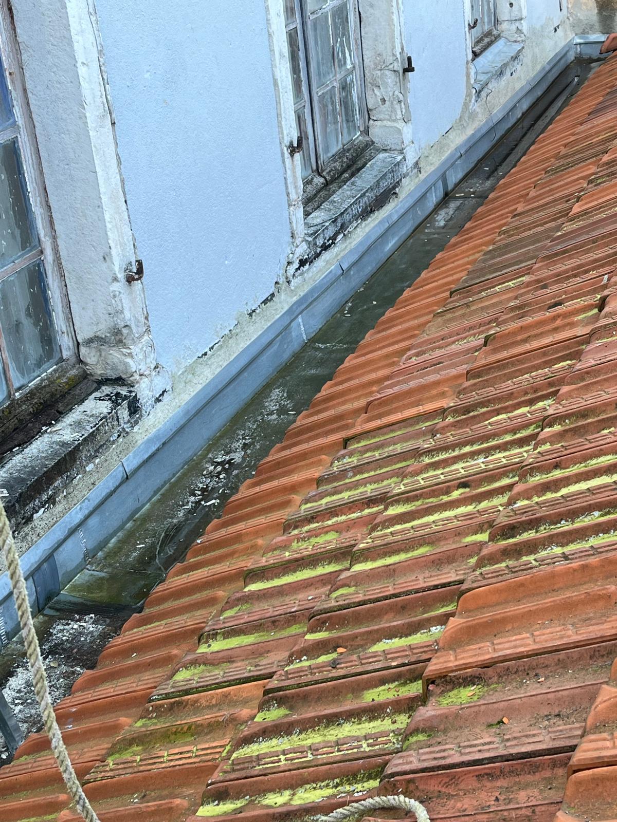 Nettoyage et entretien de toiture dans les Pyrénées-Atlantiques (64) - Photo 11